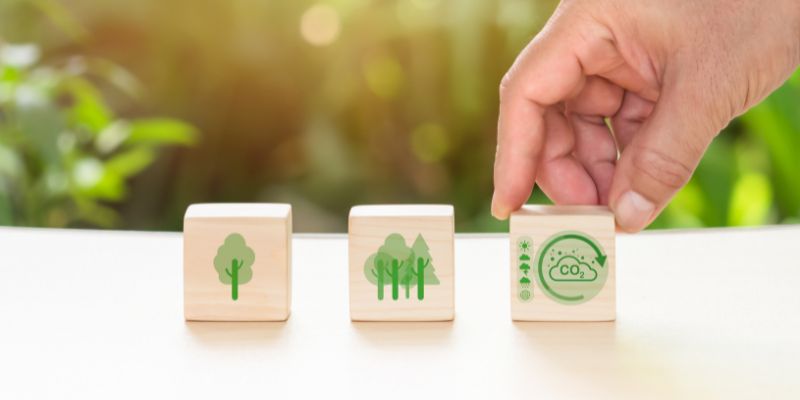 ISO 14001: ¿Cómo ayuda a tu empresa a ser más sostenible?